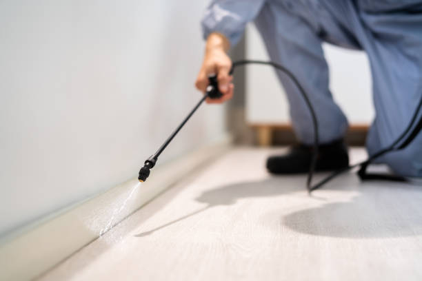 Licensed Pest Control service in Leavenworth, KS - Show Me Pest Control