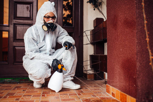 Reliable Ant Control contractor in Leavenworth, KS by Show Me Pest Control